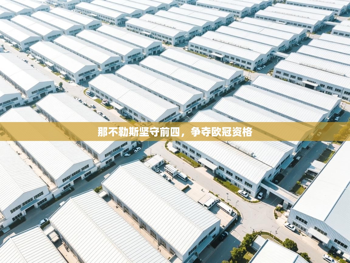 那不勒斯坚守前四,争夺欧冠资格 第1张