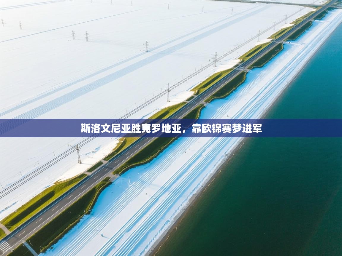 斯洛文尼亚胜克罗地亚,靠欧锦赛梦进军 第1张